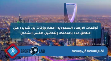 توقعات الأرصاد السعودية: أمطار وزخات برد شديدة على مناطق عدة بالمملكة وتفاصيل طقس الشمال